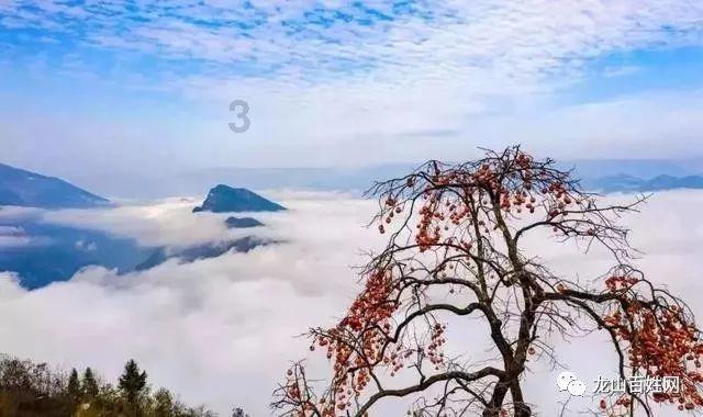 孩子咳嗽带血，先观察还是赶紧去医院，一文说清楚